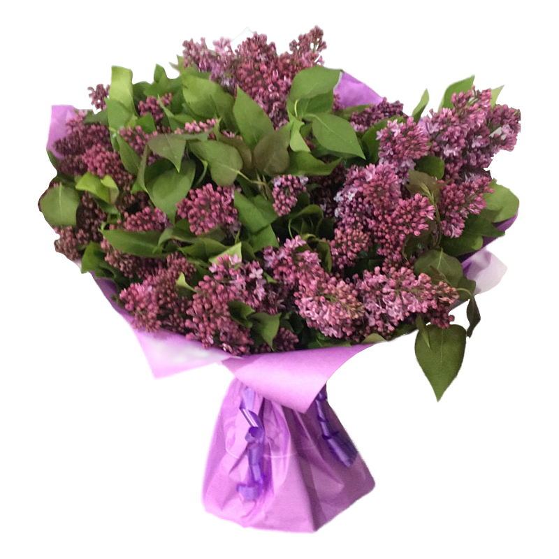 Букеты с сиренью